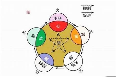 田五行|田字的五行属什么